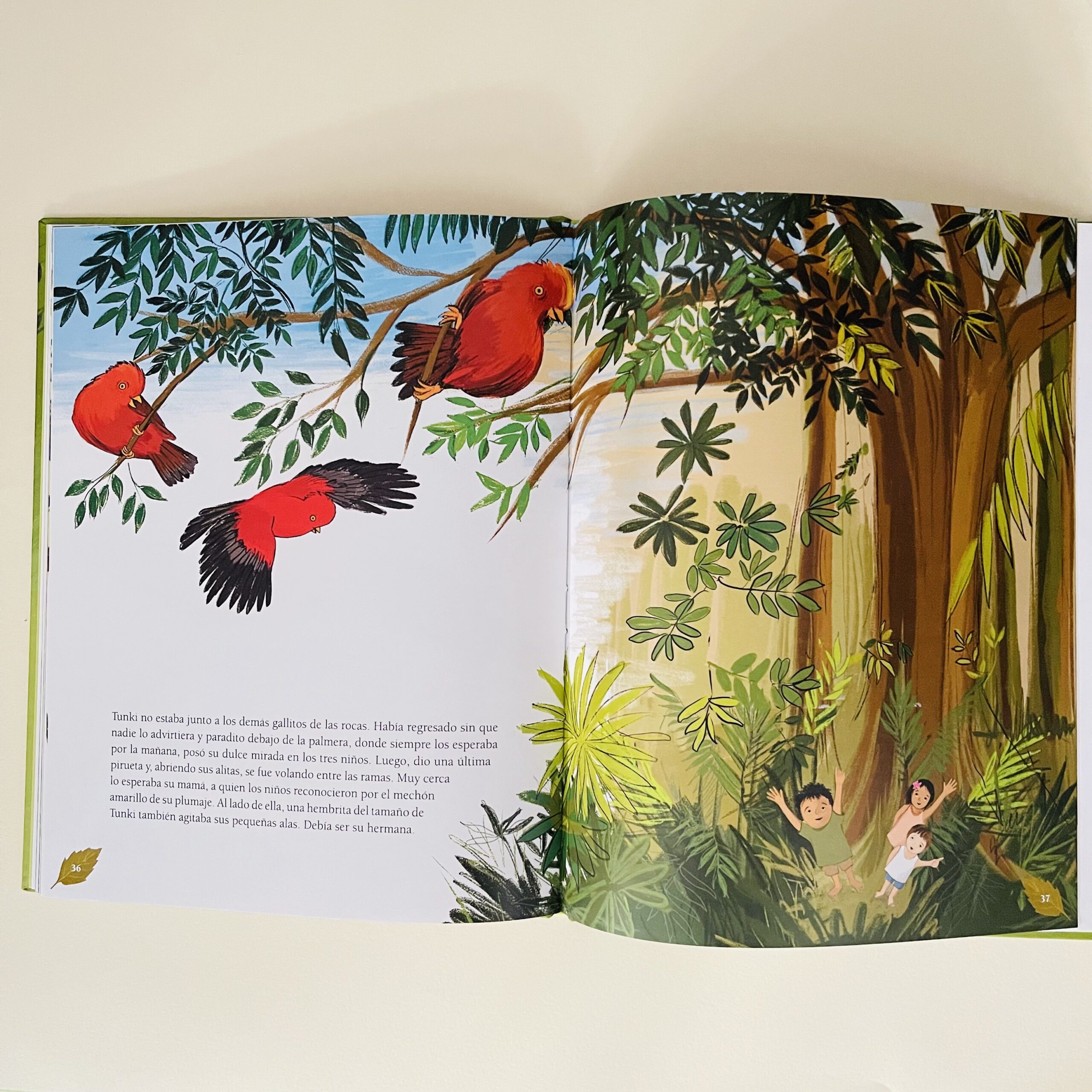 LIBRO TUNKI INTERIOR I