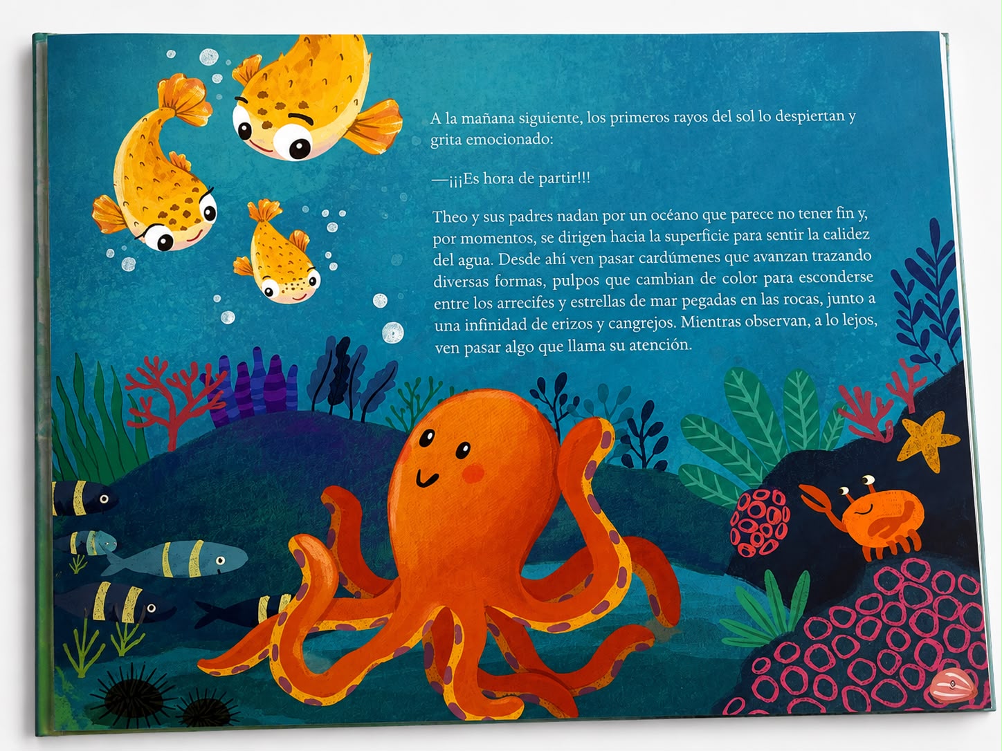 WhatsApp Image 2026-07-30 at 8.16.44 PM